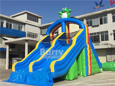 EN14960 Double Slideway Frog Modle Giant Inflatable Water Slide For Adult BY-WS-120