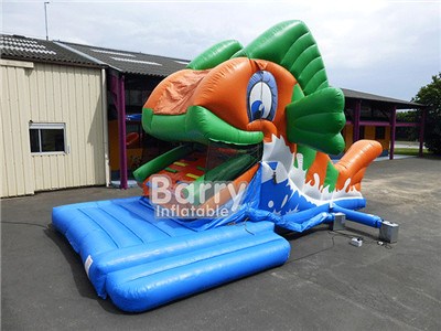 Fish Inflatable Water Slide BY-WS-124